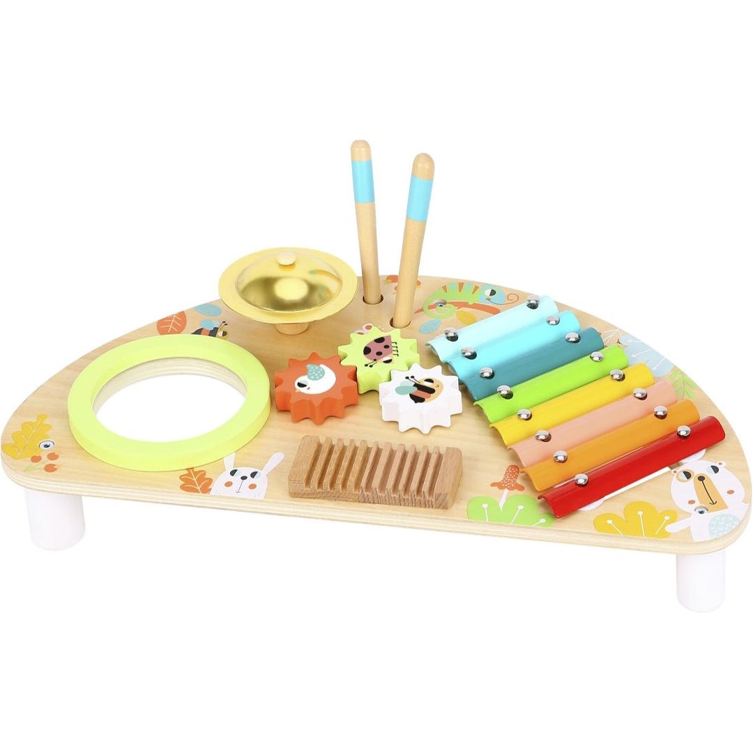 Tooky Toy Multifunction Music Centre